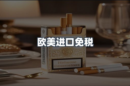 欧美进口免税